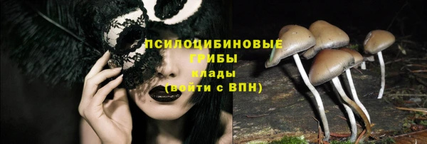 прущий лед Горняк