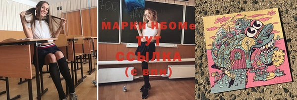 прущий лед Горняк