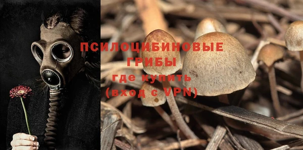 амфетамин Горнозаводск