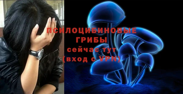 прущий лед Горняк